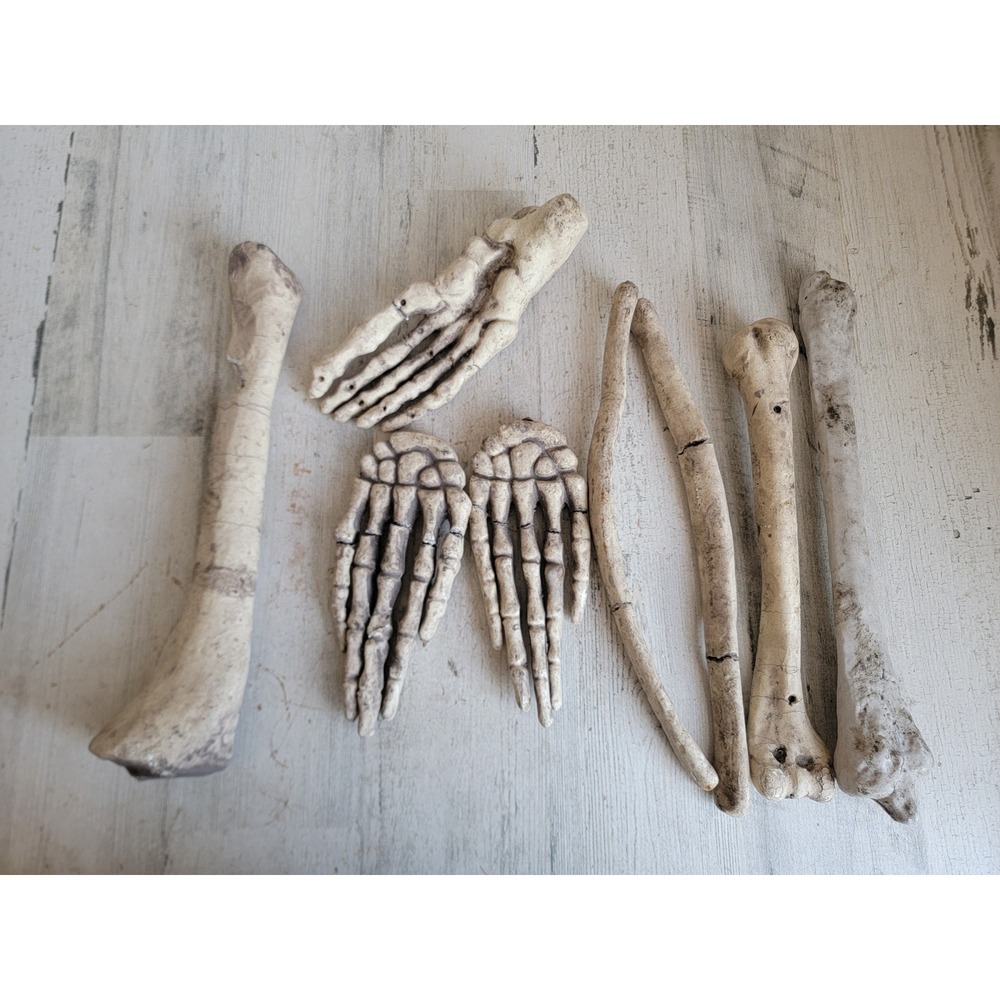 Unique AS IS styrofoam bones foot hand Halloween prop home decor